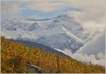 In den Bergen liegt der erste Schnee, während die abgeernteten Weinreben noch für eine
Herbstimmung sorgen.
(27.10.2020)
