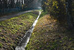 Der Commebach im herbstlichen Gegenlicht in Eu-Flamersheim.