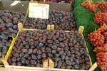 Impressionen des wunderschönen Herbstes. Er zeigt uns u.a. alle Genüsse an Obst und Gemüse. Hier am 30.9.2022 am Wochenmarkt Hamburg-Billstedt gesehen. Die „Gemüsehöker“ gaben mir sofort die Genehmigung zum Fotografieren und Veröffentlichen.
