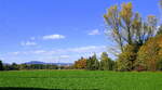 Herbstliche Rheinebene im Breisgau, am Horizont der Kaiserstuhl, Okt.2025