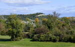 Blick vom Rheindamm über die herbstlichen Auenwälder zum 272m hohen Limberg bei Sasbach am Kaiserstuhl, Okt.2025