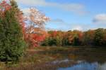 Indian Summer am Muskoka River; 04.10.2008