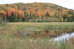 Indian Summer am Otter Lake im Municipality County / Ontario.