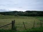 Das Holzbachtal bei Puderbach (Westerwald) 
(Maddin)
