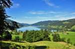  Natur pur , der Alpsee bei Immenstadt in sattem grn und bei bayrischem wei-blau Himmel - 16.07.2011