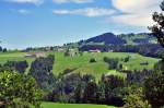 Bauernhfe im  hgeligen Voralpengebiet  bei Heideggen/Vorarlberg - 16.07.2011