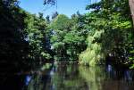 Waldteich mit Stockenten bei Rheinbach - 01.08.2012