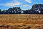 Kornfeld abgeerntet, Baumreihe und Sommerhimmel in der Voreifel bei Euskirchen - 10.07.2015