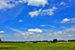 Knallige Sommerfarben blau/weiß/grün bei Rheinbach - 25.06.2015