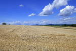 Blick über die abgeernteten Getreidefelder auf dem Marchhügel zum Kaiserstuhl, Juli 2020