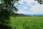 Blick über die sommerlichen Wiesen des Tiroler Unterinntales nahe Kufstein.