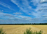 Kornfeld abgeerntet und blauer Himmel bei Meckenheim - 06.07.2022