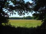 Natur zum Entspannen und Geniessen ,in der Rheinebene bei Freiburg,   Juni 2008