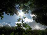 ein Sommertag