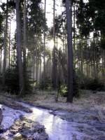 Wintersonne