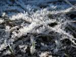 Frost von seiner schnen seite