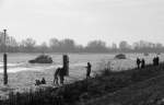 Das Eis - whrend es Sonntagspaziergnger und Kinder erfreut, kmpfen vier Eisbrecher dagegen an; Elbe bei Geesthacht, 11.01.2009
