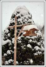 Die ganze Woche schneit es schon wie besessen im sdlicheren Teil Obersterreich, so nutzte ich an einem freien Samstagnachmittag die Gelegenheit das verschneite Vogelhuschen zu fotografieren. 14.02.2009