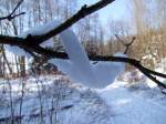  Schneewurm  schlngelt sich in den sten; 090201