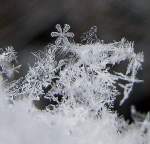 Vterchen Frost und seine Kunstwerke