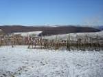 Blick vom Batzenberg/Markgrflerland
Richtung Schwarzwald mit dem Schauinsland