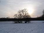 Winter in der Rheinebene,  Sonnenuntergang und erster Schnee,  2005