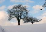 Immer wieder beeindruckend wie Schnee die Natur verwandelt.