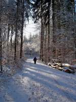 Winterspaziergang, Jan.2006 