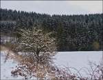 Verschneite Landschaft in Lellingen.