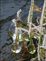 Skurrile Eisformationen in Drauffelt.