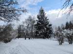Winterspaziergang durch die verschneite Parkanlage; 130220