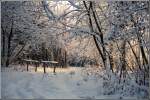 Das rötliche Morgenlicht schafft im frisch verschneiten Crimmitschauer Wald in Chemnitz eine wunderbare Atmosphäre. Die Aufnahme entstand im Winter 1996.