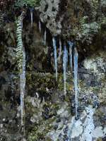 Auer Rauhreif bilden sich bei den winterlichen Temperaturen auch stellenweise Eiszapfen. Das Bild wurde am 23.12.07 zwischen Heiderscheidgrund und Bockholtz Mhle (Luxemburg) aufgenommen. 