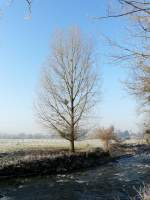 Hier sieht die Alzette schon eher aus wie ein reiender Fluss. Im Hintergrund erkennt man den ehemaligen Glockenturm der alten Kirche von Mersch (Luxemburg). Foto aufgenommen bei Rollingen/Mersch am 22.12.07