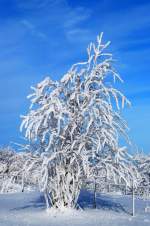 Winter im Tschechien, hier am Ortsrand von Hora Sv.