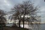 Hamburg am 11.12.2021: Wintersonne über der Außenalster  / (Landschaft)