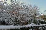 Winterimpressionen in Clerf, Wattebausch verzierte ste in einem Vorgarten.