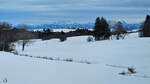 Diese winterliche Landschaft im Allgäu habe ich durch ein Zugfenster abgelichtet. (Sulzberg, November 2023)
