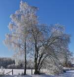 Winter Impressionen an der Straße Schummanseck nach Pommerloch, Raureif glänzt an den Bäumen bei herrlichem Wanderwetter, Sonenschein und blauem Himmel.