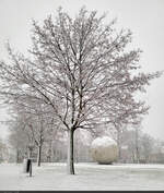 Wintereinbruch auf der Herrenbreite in Aschersleben: Neben den Bäumen ist auch der  Mond  eingezuckert.