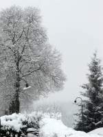 Unsere Strasse in Erpeldange/Wiltz (Luxemburg) am 04.03.08.