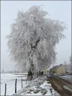 Winterliche Idylle in Heiderscheid am 29.11.08.