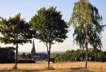 3 Laubbäume am Wegesrand mit  Durchblick  auf die Kirche von Euskirchen-Billig - 24.07.2010