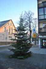 Weihnachtsbaum, in Lehrte, am 28.11.10.