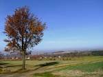 Die Eiche am Wegesrand, wirft einsam ihren Schatten auf das herbstliche Feld, und wird in Krze Unterschlupf fr das in der Luft kreisende Federvieh sein;111113