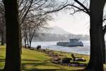 Strandgut vom letzten Hochwasser am Rhein bei Bonn-Oberkassel - 16.01.2012