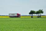 Einsamer LKW zwischen kleiner Baumgruppe und  blhenden  Feldern bei Derkum - 08.05.2012