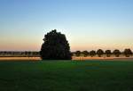 Baum, Strohballen, Wiese und Baumreihe kurz vor Sonnenuntergang - 18.08.2012