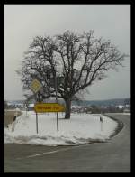 Baum mit Ortsschild nach Wenden am 27.03.2013