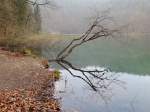 Baumspiegelung im Nationalpark Plitvicer Seen; 130421i 